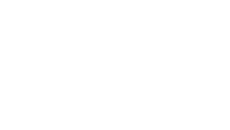 sidekick